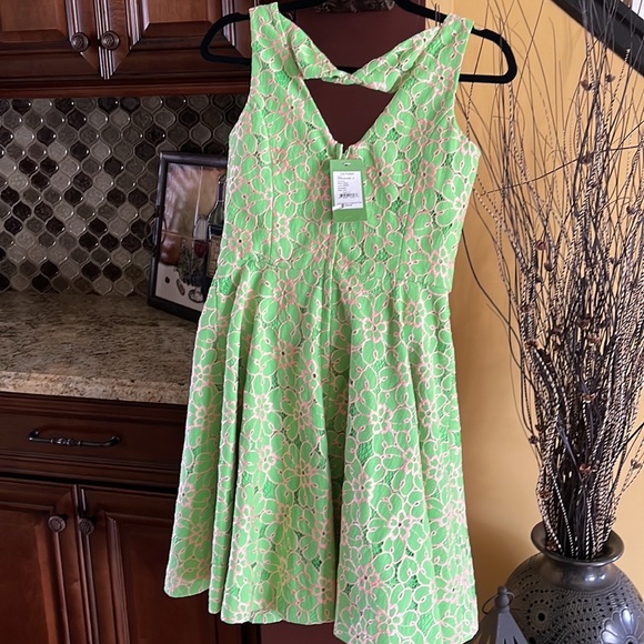BNWT Lilly Pulitzer Freja dress size 4 green pink a-line skater - Picture 5 of 6